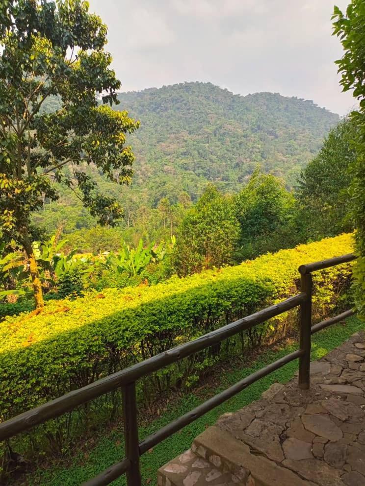 Bwindi Forest Lodge Buhoma Ngoại thất bức ảnh